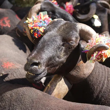 In With Eco Pool Covas (Coimbra)