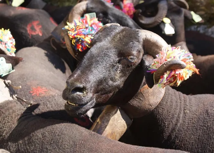 In With Eco Pool Covas