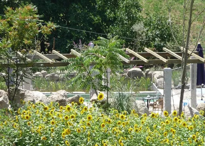 In With Eco Pool 別荘 *